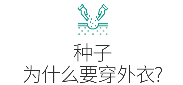 水性色浆 水性色浆