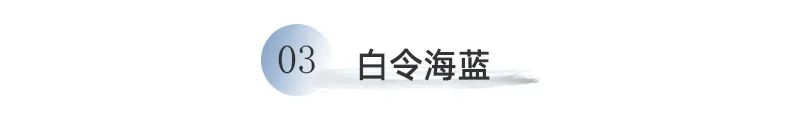 水性色浆 水性色浆