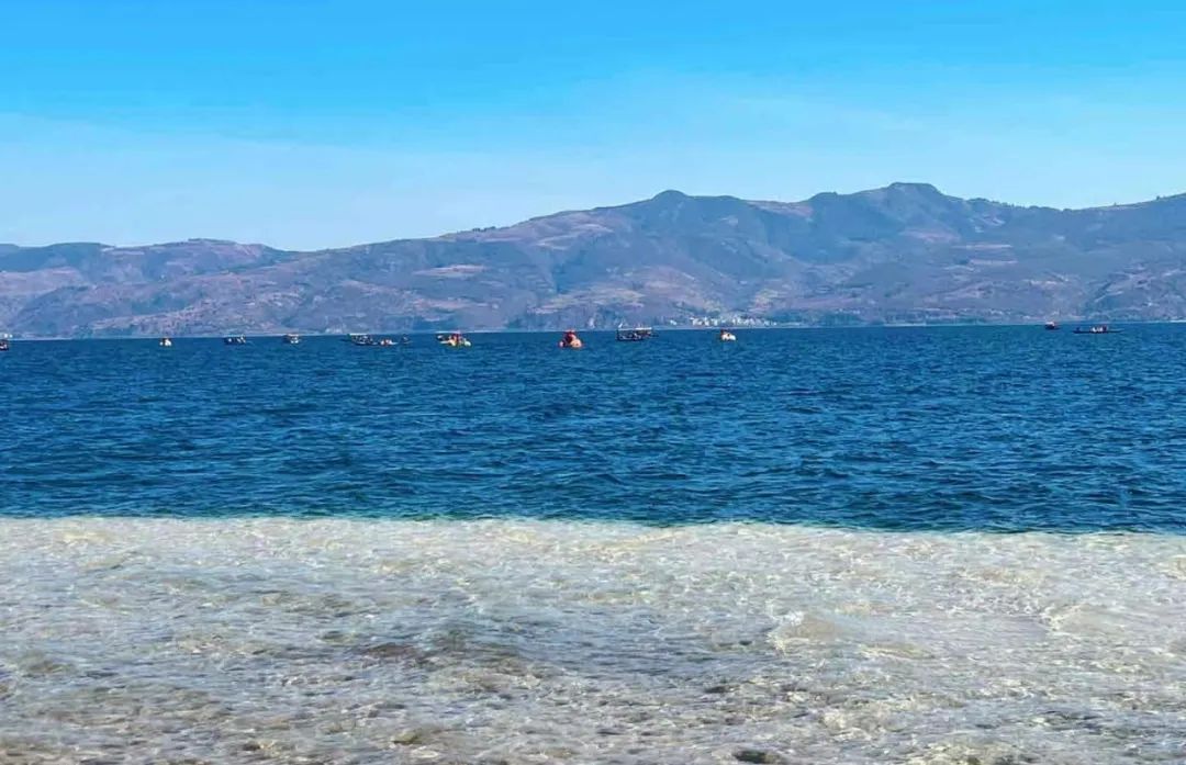 水性色浆