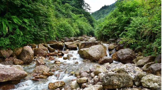 水性色浆